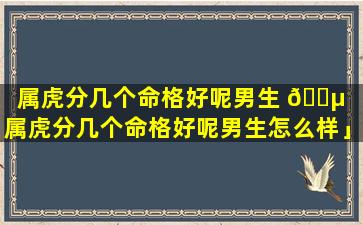 属虎分几个命格好呢男生 🐵 「属虎分几个命格好呢男生怎么样」